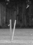 Bowled