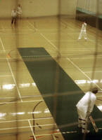 Indoor Cricket Action
